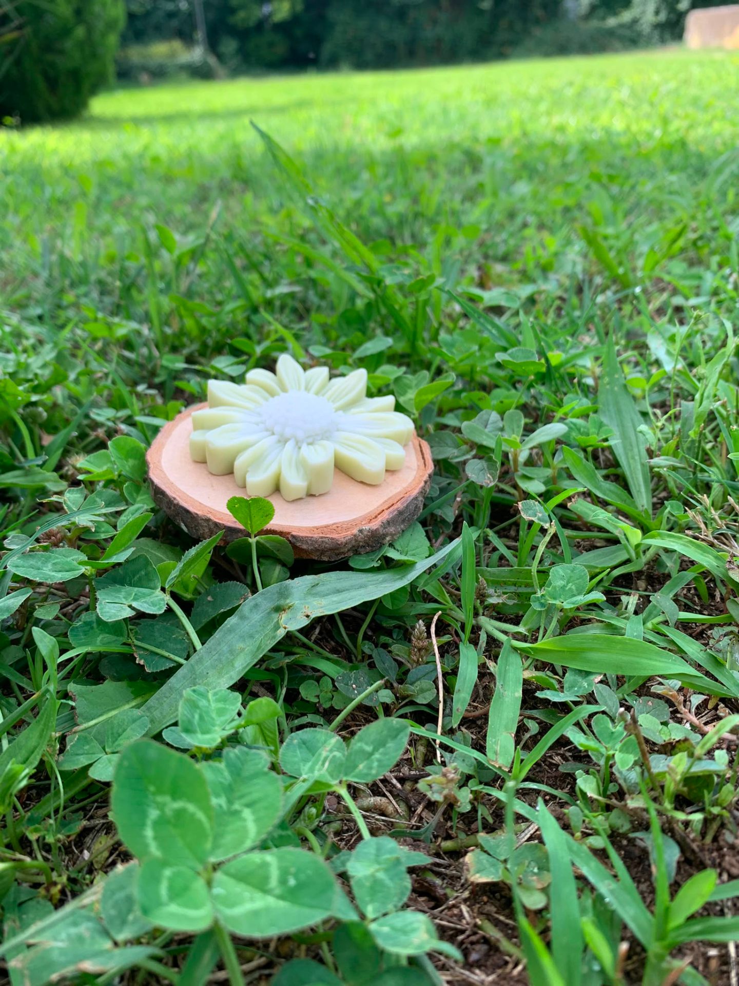 Margherita