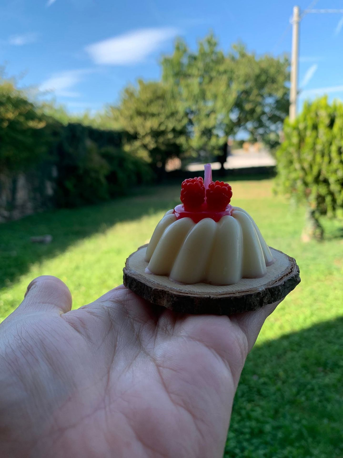 Bundt cake ai lamponi