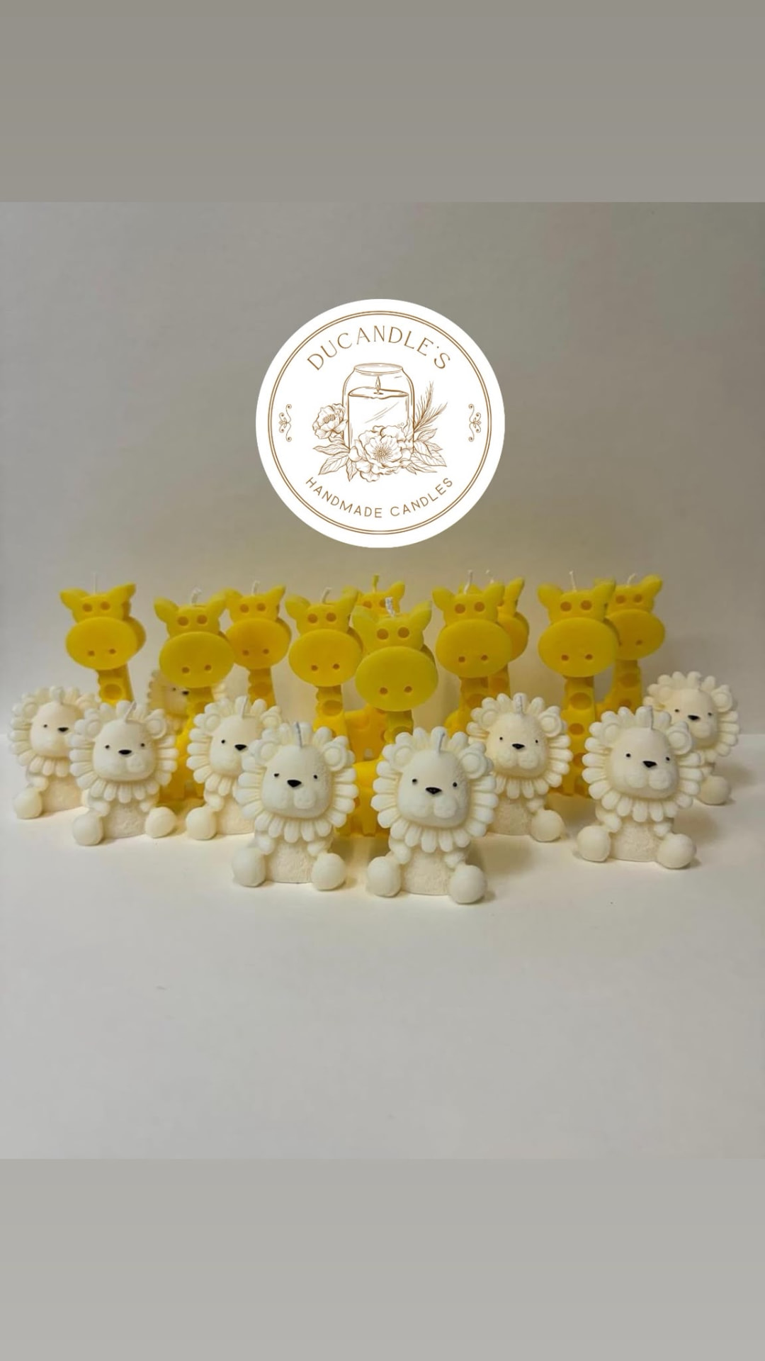 Leoni e giraffe — tema safari