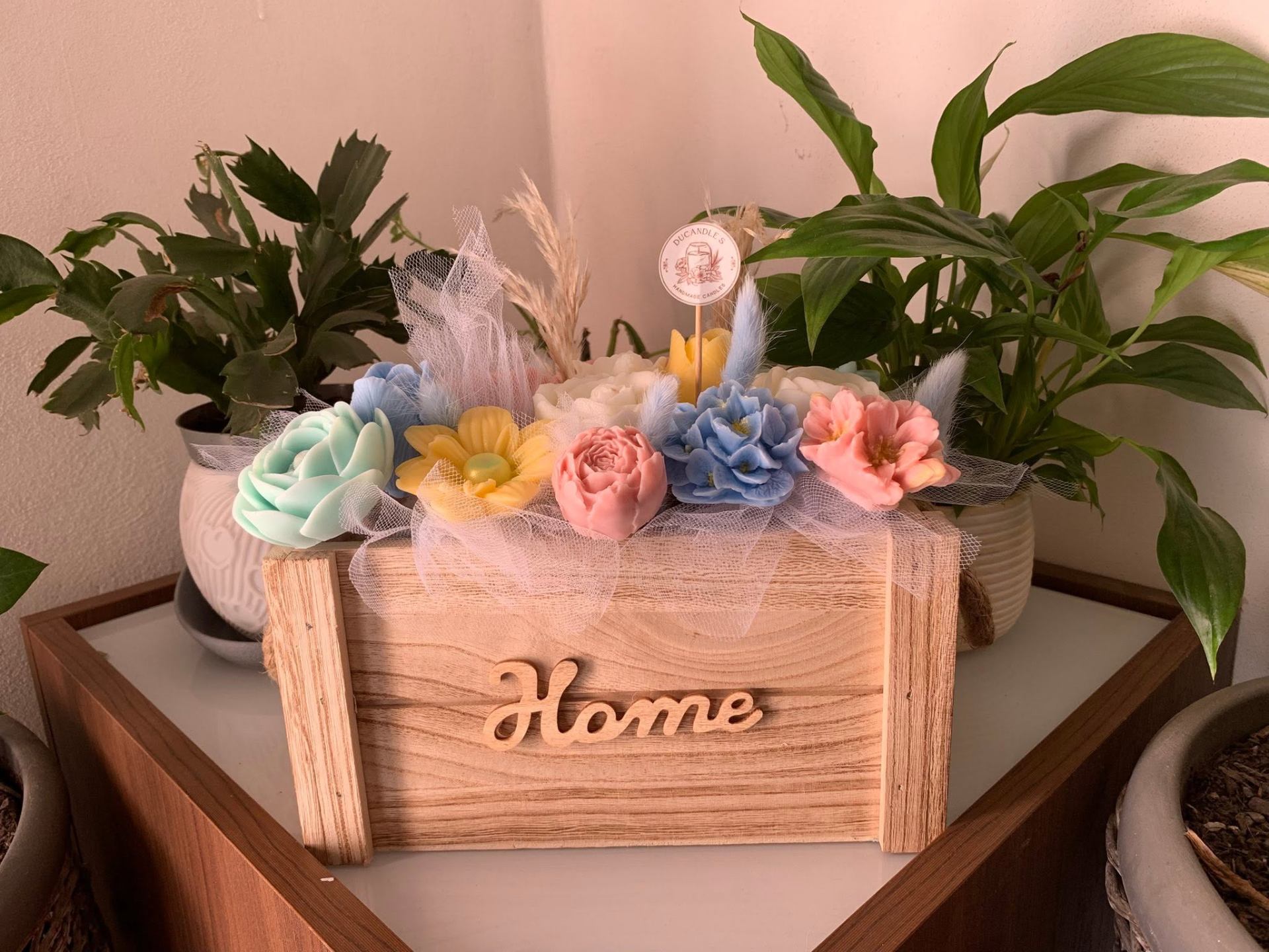 Cassetta "Home" — con piante
